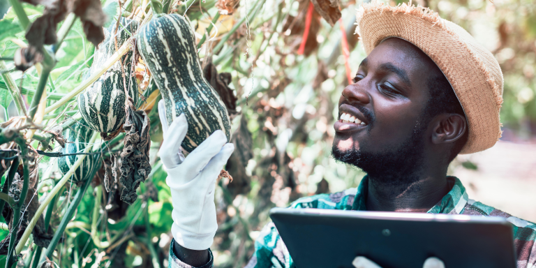 Translating knowledge to practice