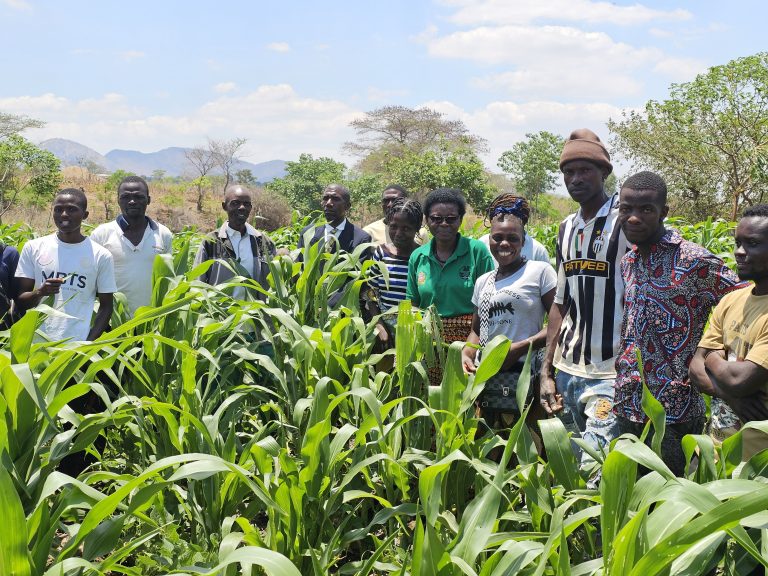 Healthy soils, healthy people: How communities in northern Malawi are rebuilding food and health from the ground up
