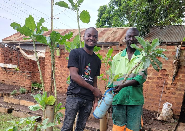 Green urban harvest: Cultivating organic success in Mbale City, Uganda