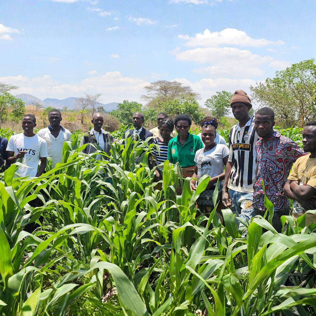 Group of farmers in Malawi, Mizizi Mag Story